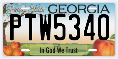 GA license plate PTW5340