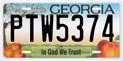 GA license plate PTW5374