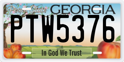 GA license plate PTW5376