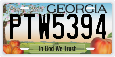 GA license plate PTW5394