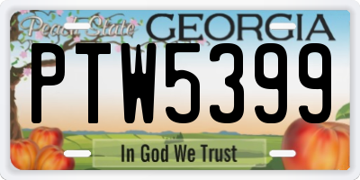 GA license plate PTW5399