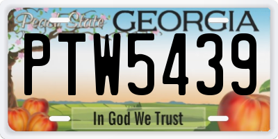 GA license plate PTW5439