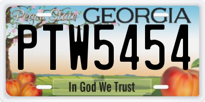 GA license plate PTW5454