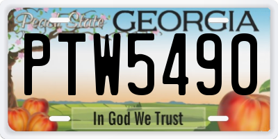 GA license plate PTW5490