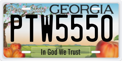 GA license plate PTW5550