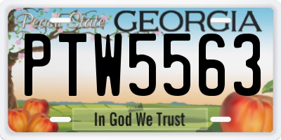 GA license plate PTW5563