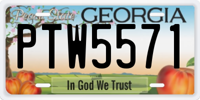 GA license plate PTW5571