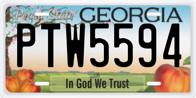 GA license plate PTW5594