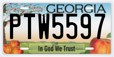 GA license plate PTW5597