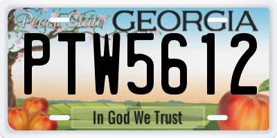 GA license plate PTW5612