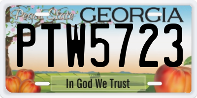 GA license plate PTW5723
