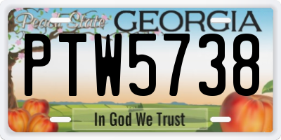 GA license plate PTW5738