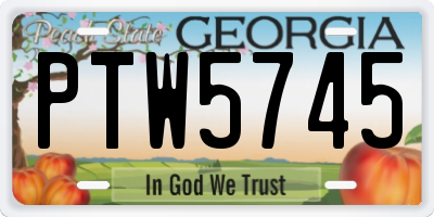 GA license plate PTW5745