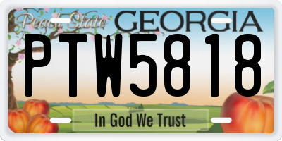 GA license plate PTW5818