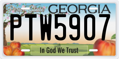 GA license plate PTW5907