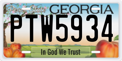 GA license plate PTW5934