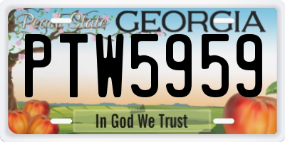 GA license plate PTW5959