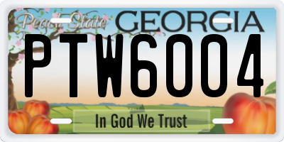 GA license plate PTW6004