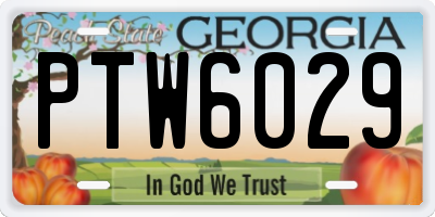 GA license plate PTW6029