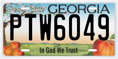 GA license plate PTW6049