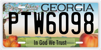 GA license plate PTW6098