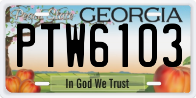 GA license plate PTW6103
