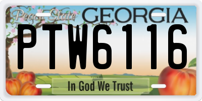 GA license plate PTW6116