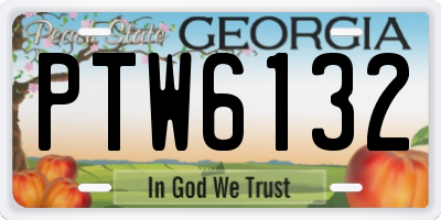 GA license plate PTW6132