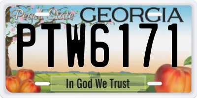 GA license plate PTW6171