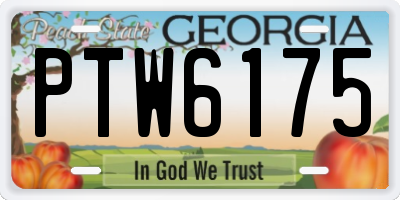 GA license plate PTW6175