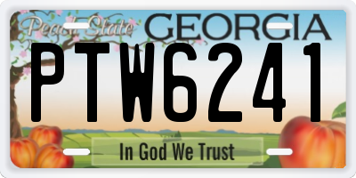 GA license plate PTW6241