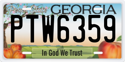 GA license plate PTW6359