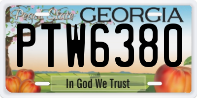 GA license plate PTW6380