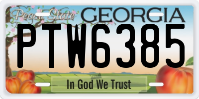 GA license plate PTW6385