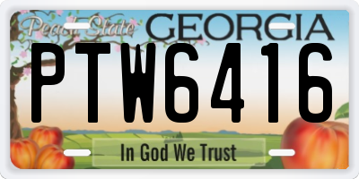 GA license plate PTW6416