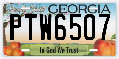 GA license plate PTW6507