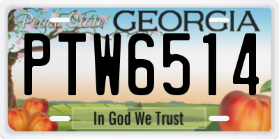 GA license plate PTW6514