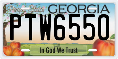 GA license plate PTW6550