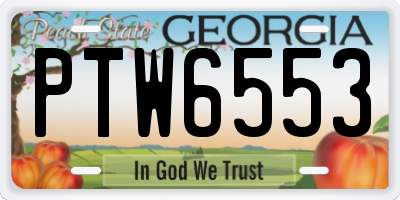GA license plate PTW6553