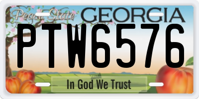 GA license plate PTW6576