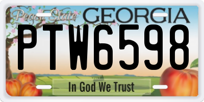 GA license plate PTW6598