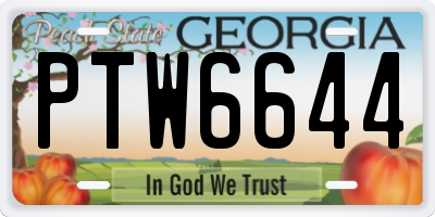 GA license plate PTW6644