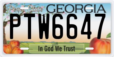 GA license plate PTW6647