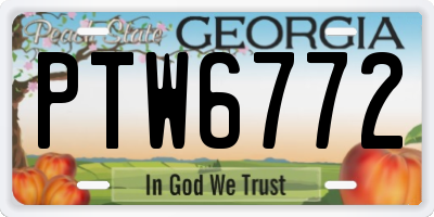 GA license plate PTW6772