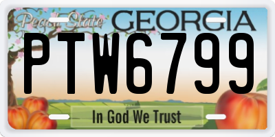 GA license plate PTW6799