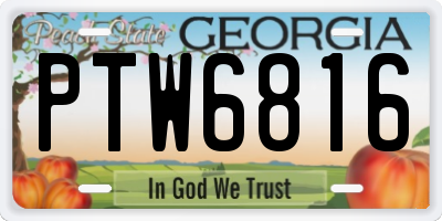 GA license plate PTW6816