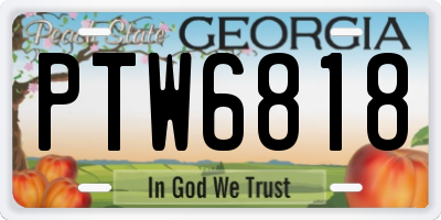 GA license plate PTW6818
