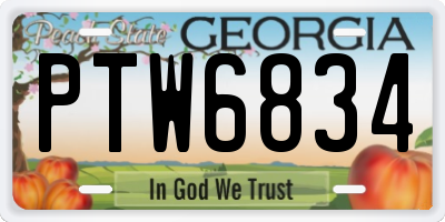GA license plate PTW6834