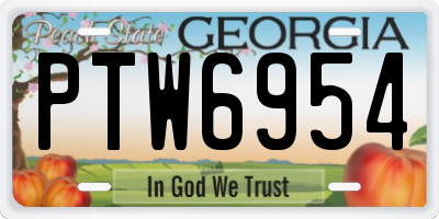 GA license plate PTW6954