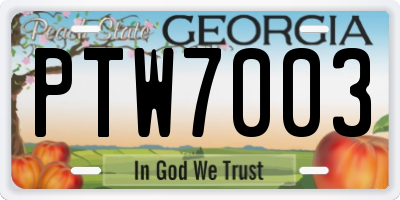 GA license plate PTW7003
